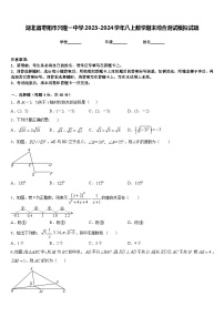 湖北省枣阳市兴隆一中学2023-2024学年八上数学期末综合测试模拟试题含答案