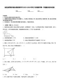 湖北省枣阳市鹿头镇初级中学2023-2024学年八年级数学第一学期期末统考试题含答案