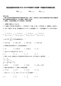 湖北省宜昌市秭归县2023-2024学年数学八年级第一学期期末检测模拟试题含答案