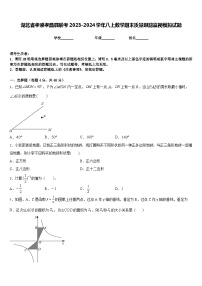 湖北省孝感孝昌县联考2023-2024学年八上数学期末质量跟踪监视模拟试题含答案