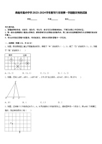 淮南市重点中学2023-2024学年数学八年级第一学期期末预测试题含答案