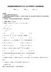 湖北省黄冈市黄梅实验中学2023-2024学年数学八上期末调研试题含答案