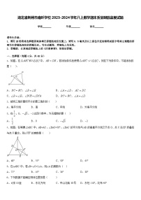 湖北省荆州市南昕学校2023-2024学年八上数学期末质量跟踪监视试题含答案