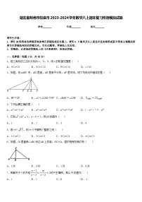 湖北省荆州市松滋市2023-2024学年数学八上期末复习检测模拟试题含答案