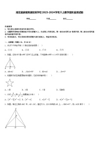 湖北省麻城思源实验学校2023-2024学年八上数学期末监测试题含答案