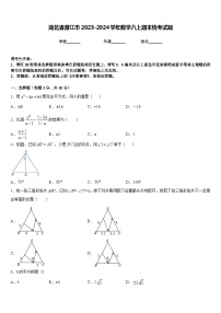 湖北省潜江市2023-2024学年数学八上期末统考试题含答案