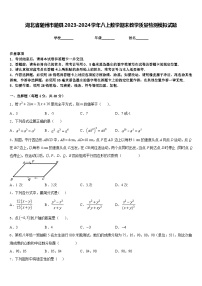 湖北省随州市随县2023-2024学年八上数学期末教学质量检测模拟试题含答案