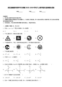 湖北省襄阳市四中学义教部2023-2024学年八上数学期末监测模拟试题含答案