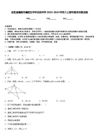 湖北省襄阳市襄阳五中学实验中学2023-2024学年八上数学期末经典试题含答案