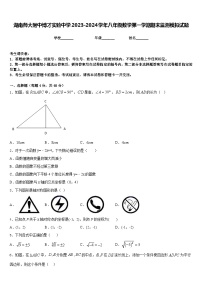 湖南师大附中博才实验中学2023-2024学年八年级数学第一学期期末监测模拟试题含答案