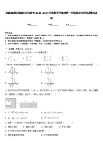 湖南省武汉武昌区五校联考2023-2024学年数学八年级第一学期期末综合测试模拟试题含答案