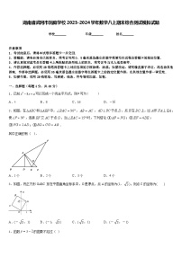 湖南省武冈市洞庭学校2023-2024学年数学八上期末综合测试模拟试题含答案