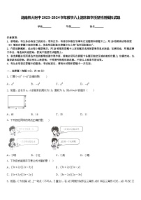 湖南师大附中2023-2024学年数学八上期末教学质量检测模拟试题含答案