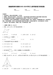湖南省株洲市炎陵县2023-2024学年八上数学期末复习检测试题含答案
