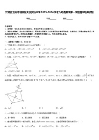 甘肃省兰州市城关区天庆实验中学2023-2024学年八年级数学第一学期期末联考试题含答案