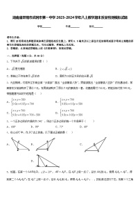 湖南省邵阳市武冈市第一中学2023-2024学年八上数学期末质量检测模拟试题含答案