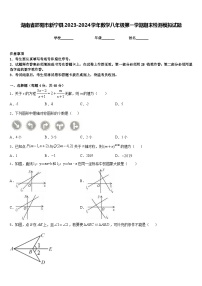 湖南省邵阳市新宁县2023-2024学年数学八年级第一学期期末检测模拟试题含答案