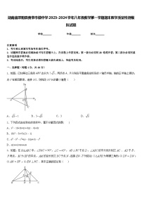 湖南省邵阳县黄亭市镇中学2023-2024学年八年级数学第一学期期末教学质量检测模拟试题含答案