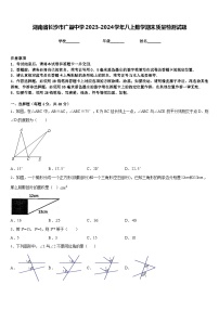 湖南省长沙市广益中学2023-2024学年八上数学期末质量检测试题含答案