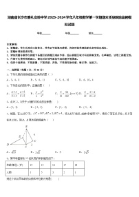 湖南省长沙市雅礼实验中学2023-2024学年八年级数学第一学期期末质量跟踪监视模拟试题含答案