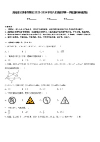 湖南省长沙市岳麓区2023-2024学年八年级数学第一学期期末调研试题含答案