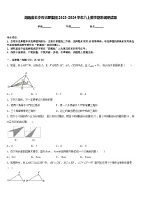 湖南省长沙市长郡集团2023-2024学年八上数学期末调研试题含答案