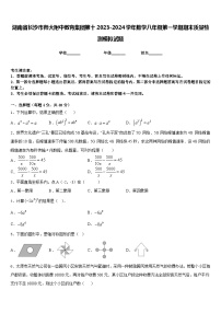 湖南省长沙市师大附中教育集团第十2023-2024学年数学八年级第一学期期末质量检测模拟试题含答案