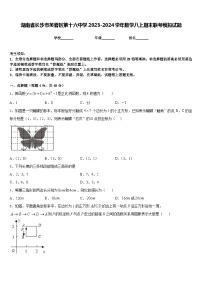 湖南省长沙市芙蓉区第十六中学2023-2024学年数学八上期末联考模拟试题含答案