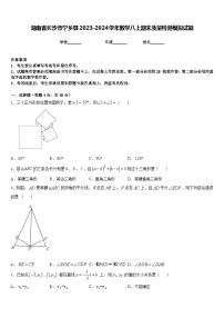 湖南省长沙市宁乡县2023-2024学年数学八上期末质量检测模拟试题含答案