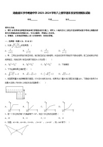 湖南省长沙市明德中学2023-2024学年八上数学期末质量检测模拟试题含答案