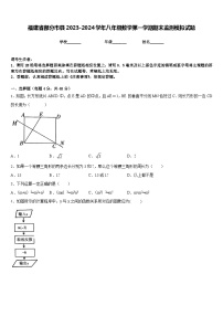 福建省部分市县2023-2024学年八年级数学第一学期期末监测模拟试题含答案