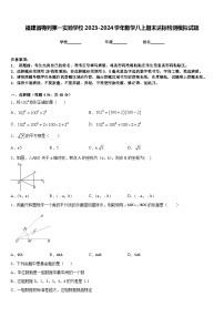 福建省梅列第一实验学校2023-2024学年数学八上期末达标检测模拟试题含答案