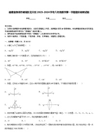 福建省泉州市鲤城区北片区2023-2024学年八年级数学第一学期期末调研试题含答案