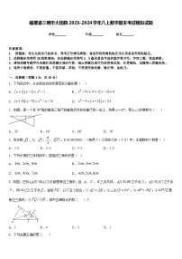 福建省三明市大田县2023-2024学年八上数学期末考试模拟试题含答案