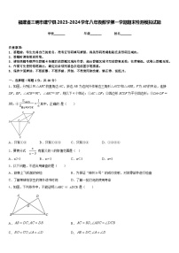 福建省三明市建宁县2023-2024学年八年级数学第一学期期末检测模拟试题含答案