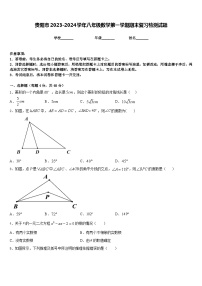 贵阳市2023-2024学年八年级数学第一学期期末复习检测试题含答案