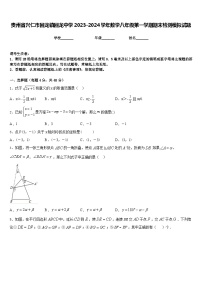 贵州省兴仁市回龙镇回龙中学2023-2024学年数学八年级第一学期期末检测模拟试题含答案