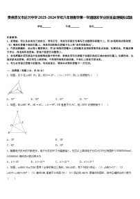 贵州遵义市达兴中学2023-2024学年八年级数学第一学期期末学业质量监测模拟试题含答案