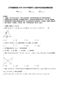 辽宁抚顺新抚区2023-2024学年数学八上期末学业质量监测模拟试题含答案