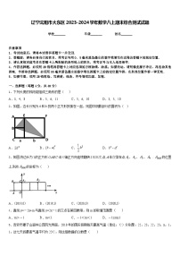 辽宁沈阳市大东区2023-2024学年数学八上期末综合测试试题含答案