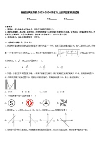 西藏拉萨达孜县2023-2024学年八上数学期末预测试题含答案