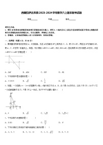 西藏拉萨达孜县2023-2024学年数学八上期末联考试题含答案