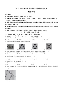 黑龙江省哈尔滨市巴彦县2023-2024学年八年级上学期期末考试数学试题