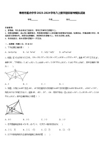 郴州市重点中学2023-2024学年八上数学期末联考模拟试题含答案