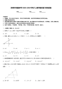 郑州市外国语中学2023-2024学年八上数学期末复习检测试题含答案