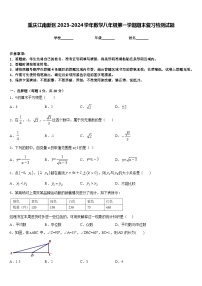 重庆江南新区2023-2024学年数学八年级第一学期期末复习检测试题含答案