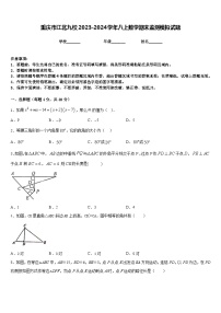 重庆市江北九校2023-2024学年八上数学期末监测模拟试题含答案