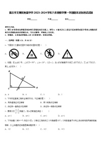 重庆市文理院附属中学2023-2024学年八年级数学第一学期期末达标测试试题含答案