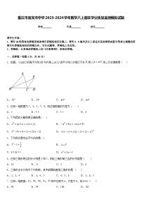 重庆市宜宾市中学2023-2024学年数学八上期末学业质量监测模拟试题含答案