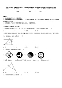 重庆市两江巴蜀中学2023-2024学年数学八年级第一学期期末综合测试试题含答案